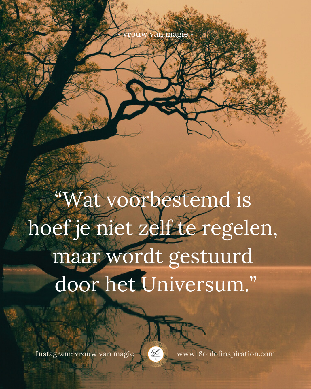 Aantrekkingskracht in de liefde 